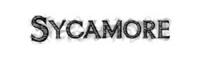 sycamore.jpg