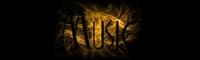musicheader.jpg