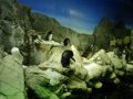 osaka-kaiyuukan-penguins.jpg