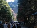 nikko-toshogu_jinja-view_down_causeway.jpg