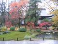 kyoto-koryuji-full_garden_shot.jpg