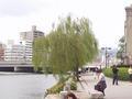 hiroshima-genbaku_dome7-willow.jpg