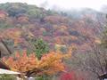 kyoto-arashiyama-patchwork_hillside_tree_in_foreground_not_sharp.jpg