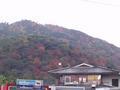 kyoto-arashiyama-patchwork_hillside_truer_colors.jpg