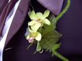 boutonniere.jpg