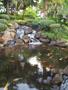 marriott-fish_pond.jpg