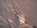 marriott-waves_over_toes.jpg