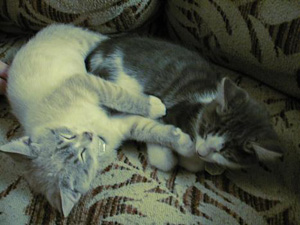 Lars and Liam - Sleeping Cuddled