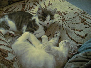 Lars and Liam - Sleeping Together