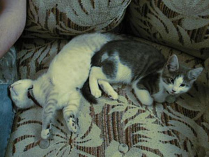 Lars and Liam - Sacked Out and Staring