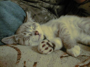 Lars - Sleeping