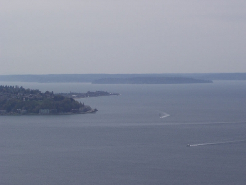 alki.jpg