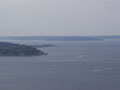 alki.jpg