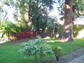 backyard.jpg